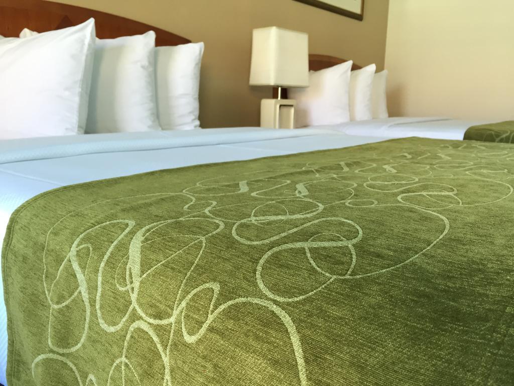 Seasons Florida Resort Kissimmee Room photo